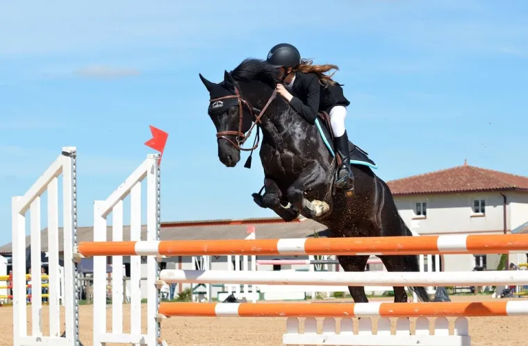 Concours de saut d'obstacle, Orchies, ECURIE NOEMIE SAMIJN